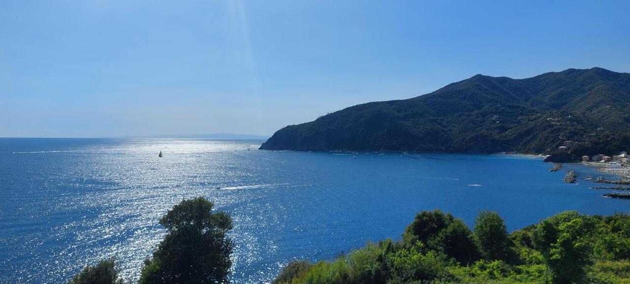 Appartamenti Enrica With Amazing View モネーリア エクステリア 写真