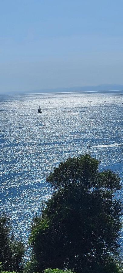 Appartamenti Enrica With Amazing View モネーリア エクステリア 写真
