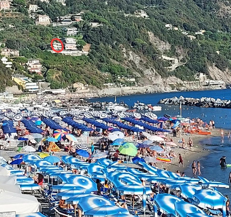 Appartamenti Enrica With Amazing View モネーリア エクステリア 写真
